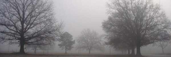 Fantasma_Mirth Profile Banner