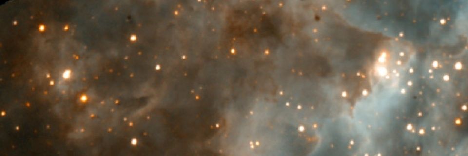 damlabaskaya's profile banner image