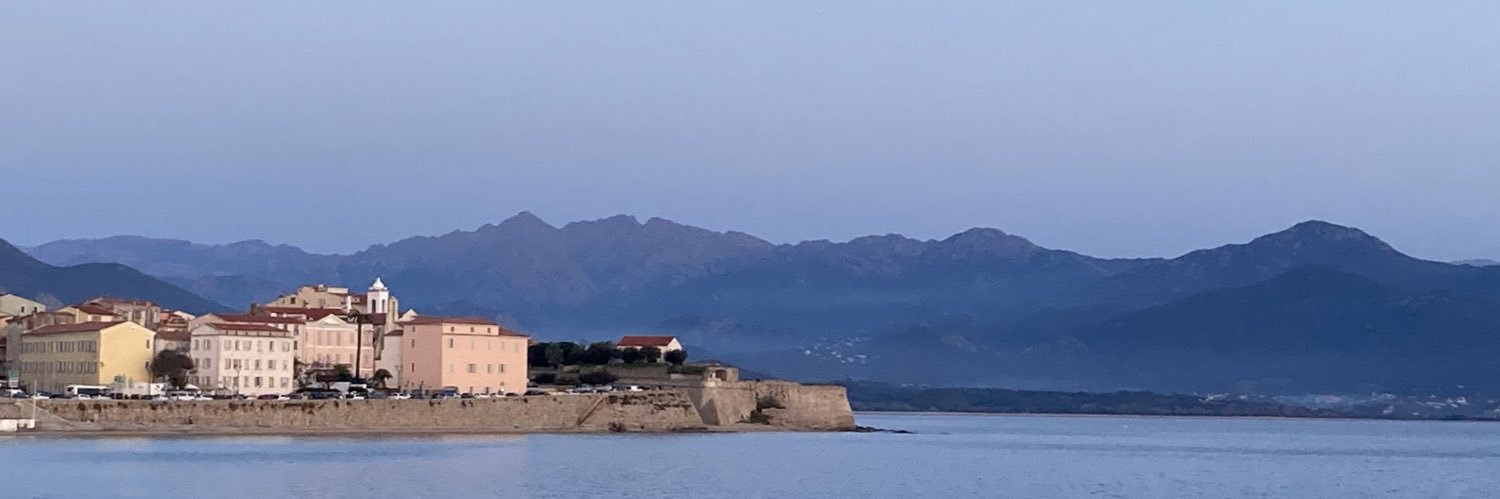 Ariane Chemin banner