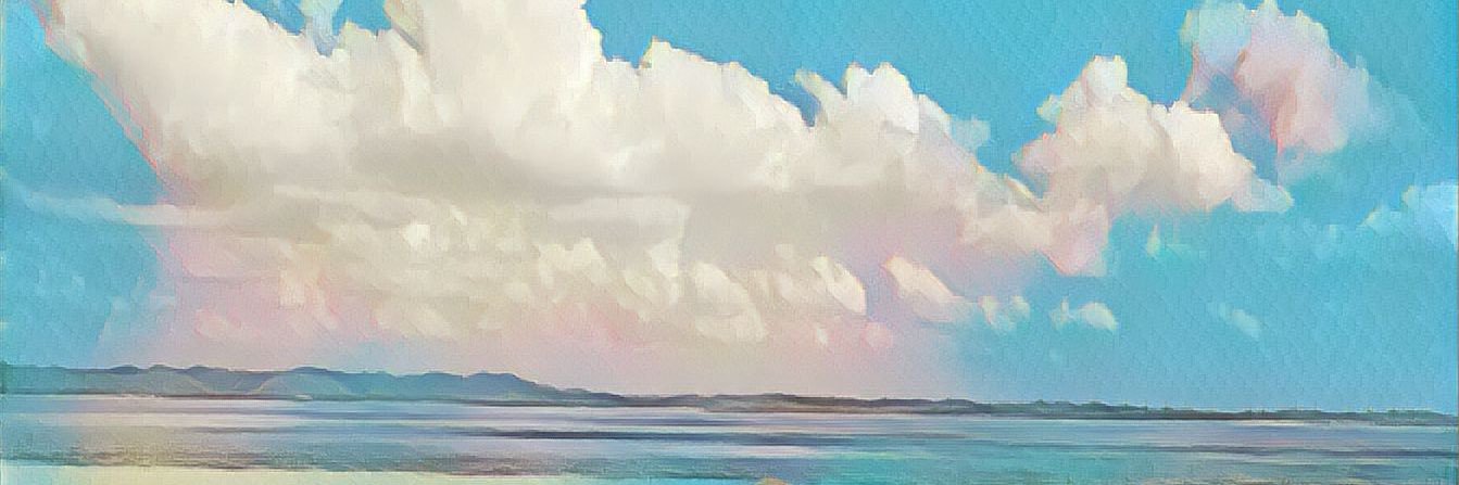 zinkytots's profile banner image