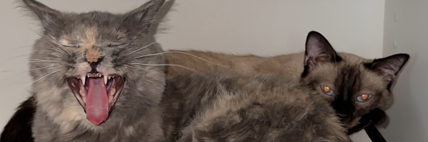 ChuansonTe's profile banner image