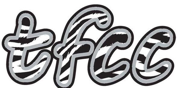 TakeFlightCheer's profile banner image