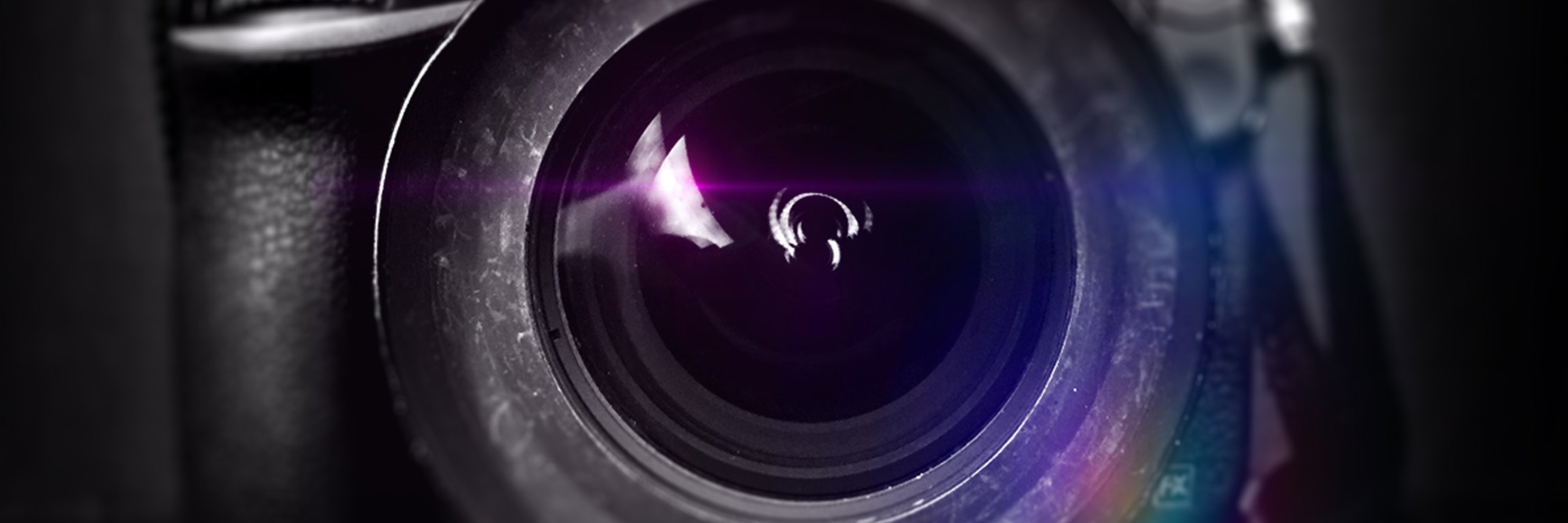 Ingrid Bulmer banner