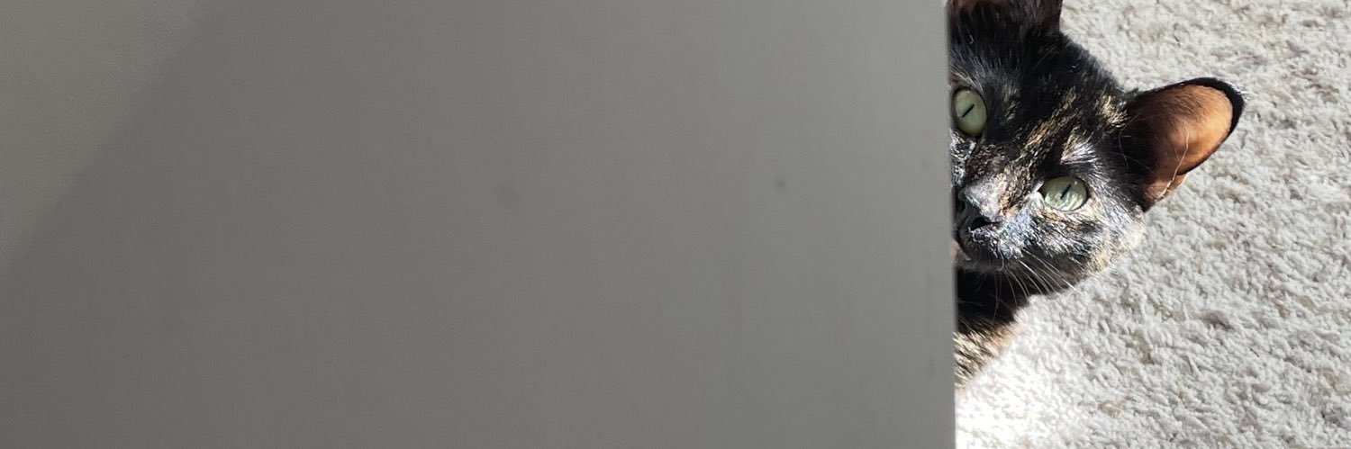 socrates_txt's profile banner image