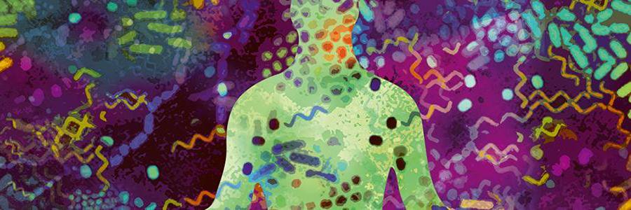 MicrobeMonkey's profile banner image