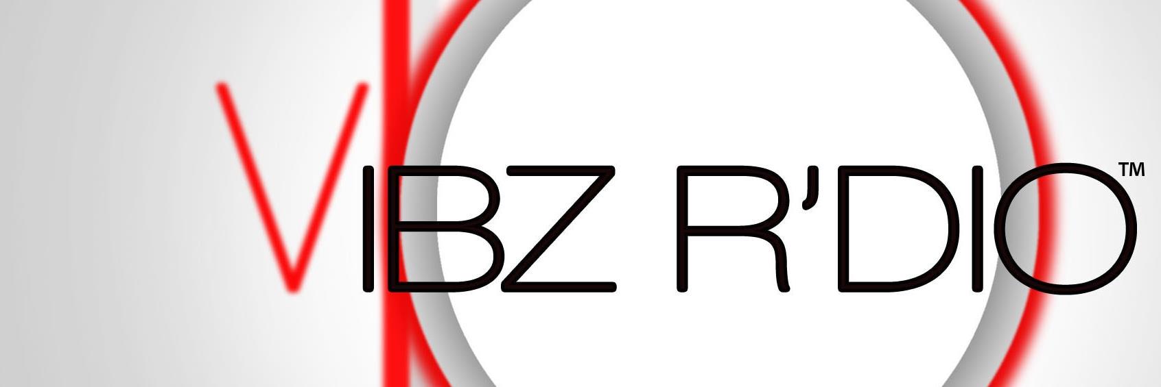 vibzrdio's profile banner image