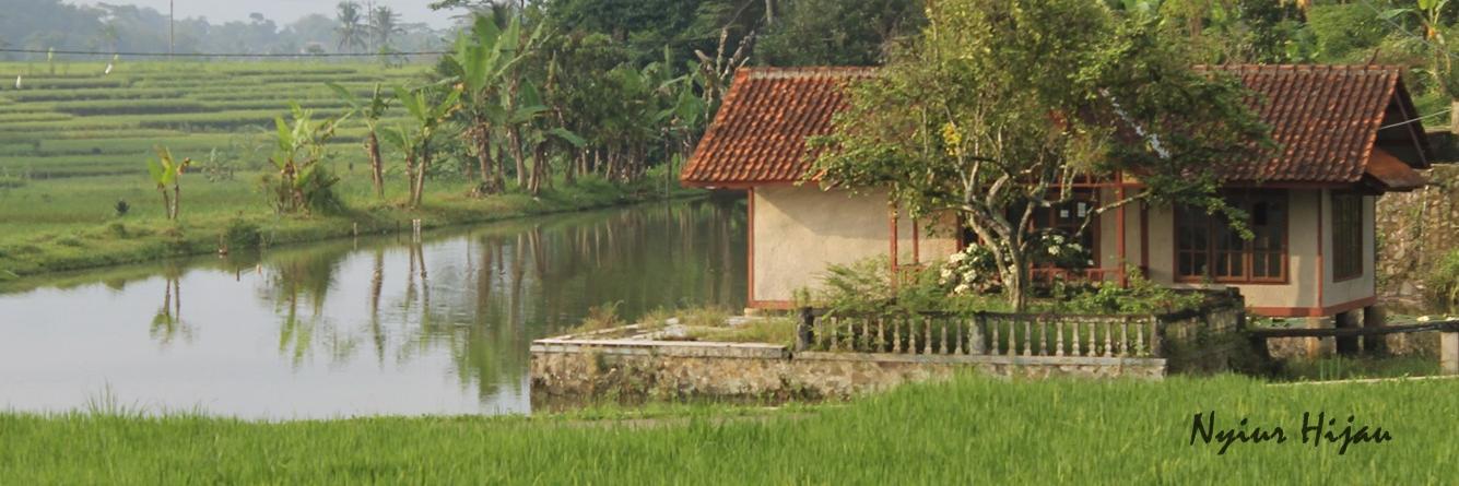 bercandra's profile banner image