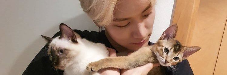 bxbxt007's profile banner image