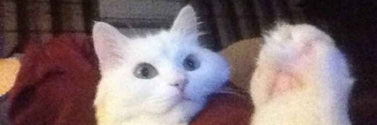 unleryesim's profile banner image