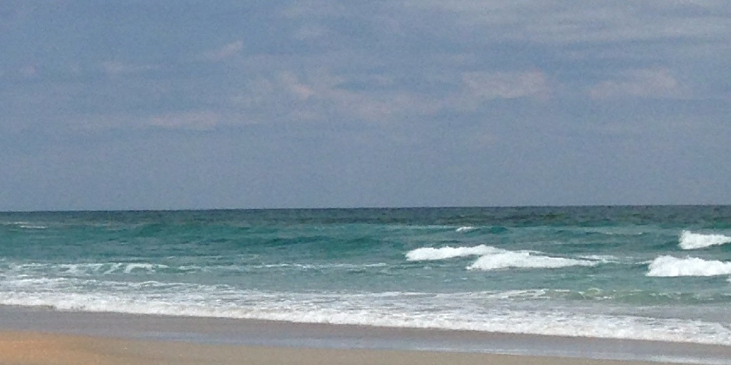 Patty Carpenter banner