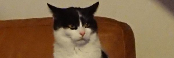 SinningLeli Profile Banner