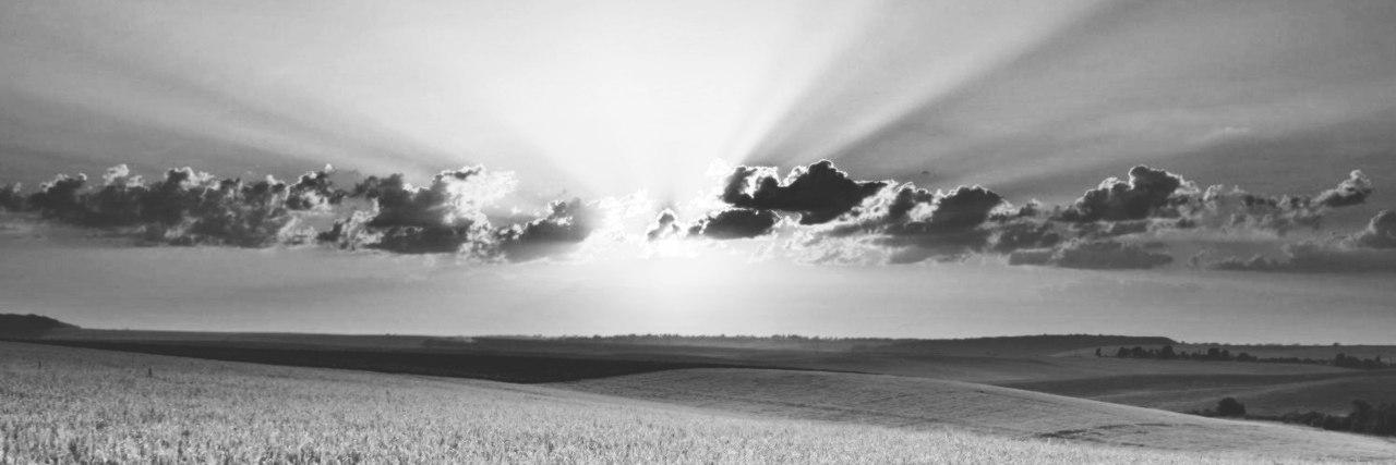 NOIA_D's profile banner image