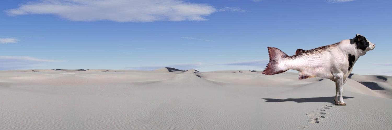 bobnoto's profile banner image