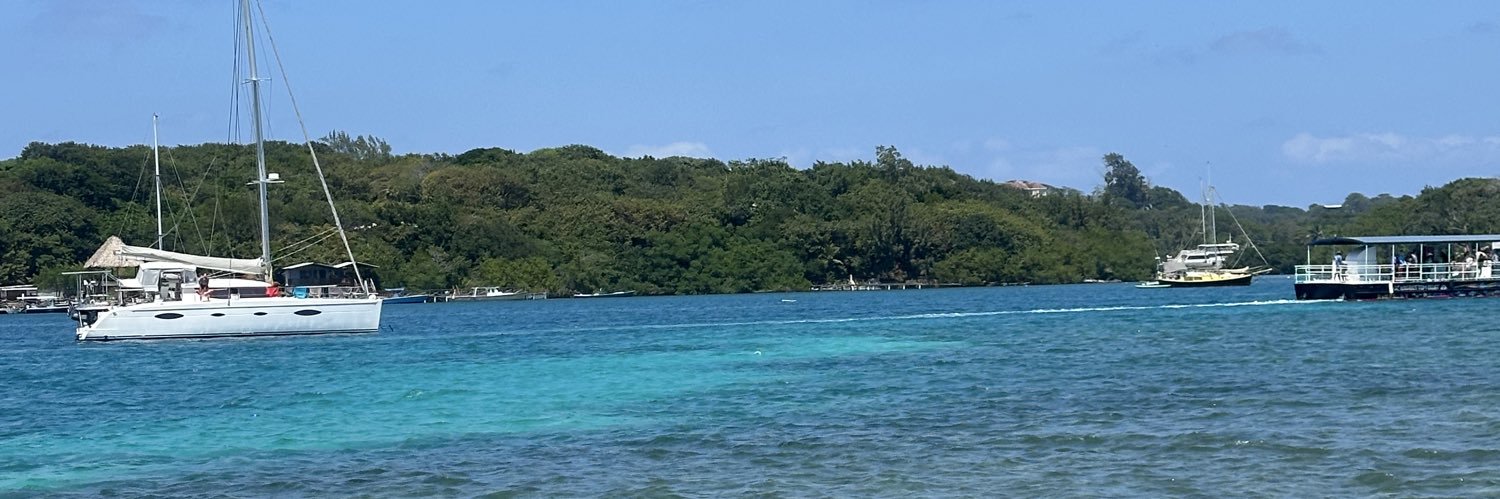 James Loomstein banner