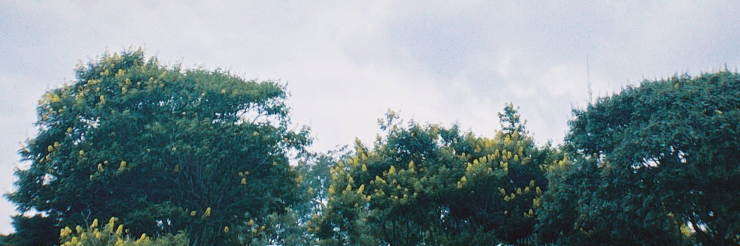 cindisfree's profile banner image