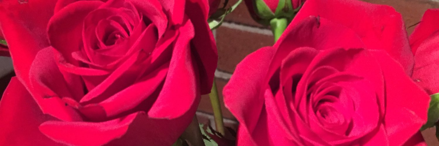 jonesbranch's profile banner image