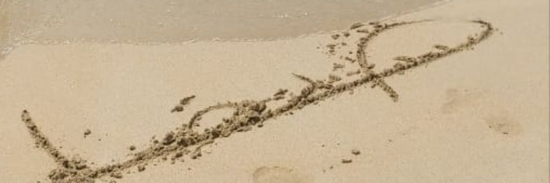 87hhhh1's profile banner image