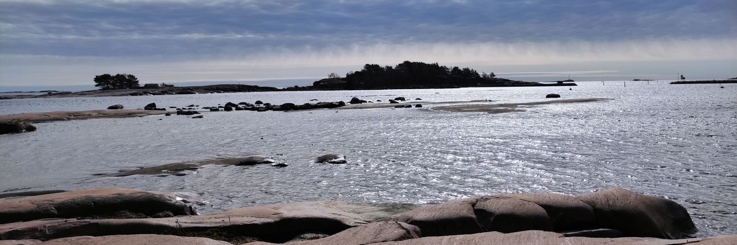 Anne-Maarit Paunonen banner