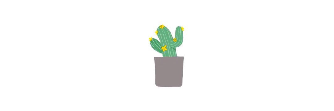 soolynn__'s profile banner image
