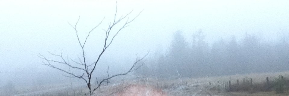 FrStopa's profile banner image