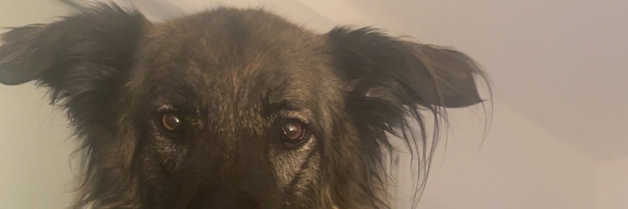 mel_lmn's profile banner image