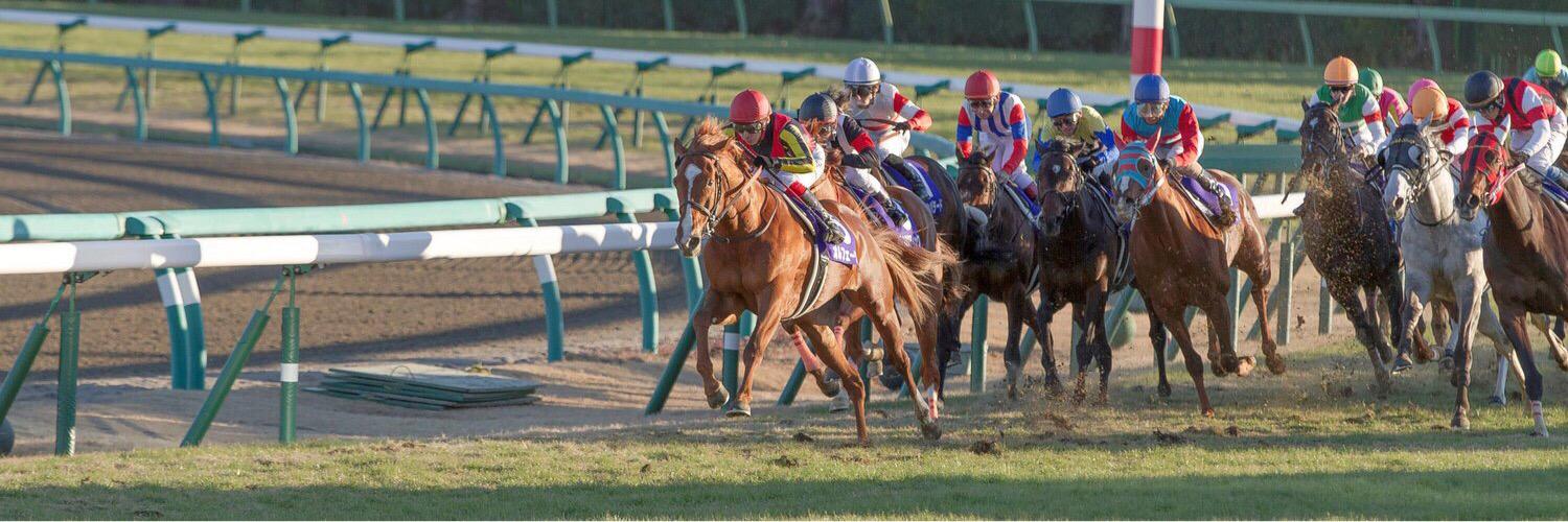 orfevre3416's profile banner image