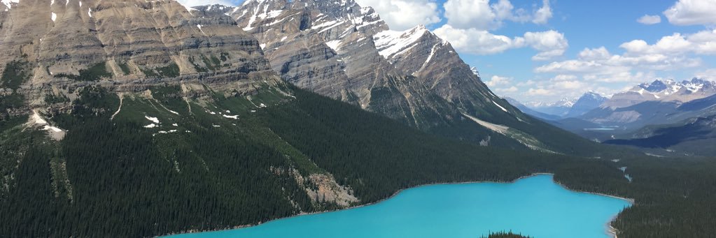shucksitsdonna's profile banner image