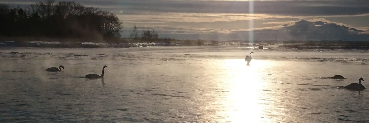 mtmky's profile banner image