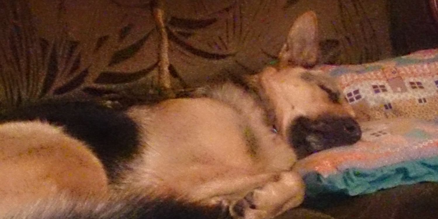 BampingMark's profile banner image