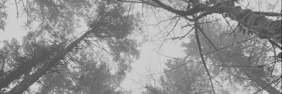 BeasterNat_TS's profile banner image