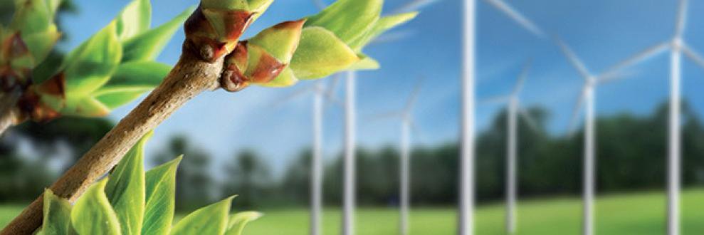 beterduurzaam's profile banner image