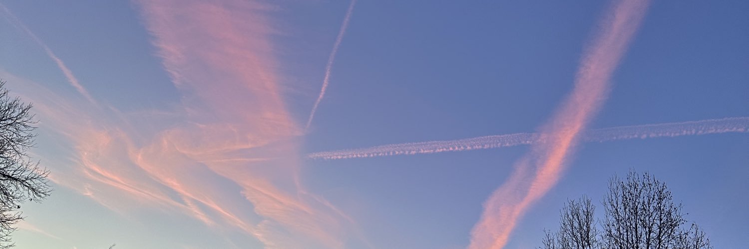 jalynmt's profile banner image