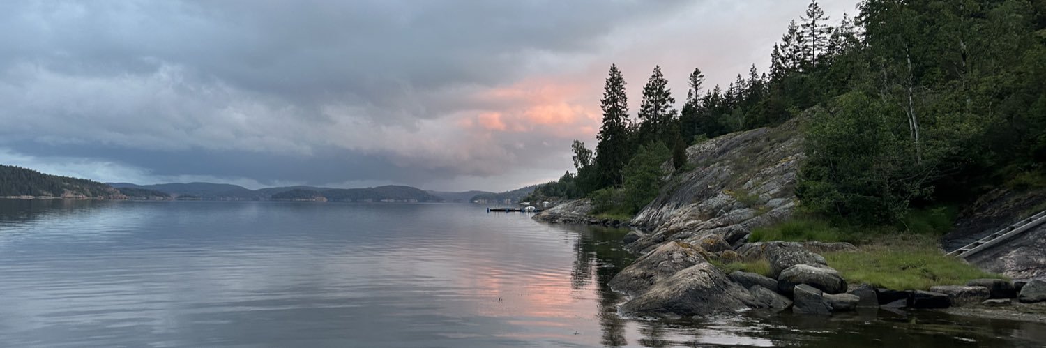 Sverigeesterna's profile banner image