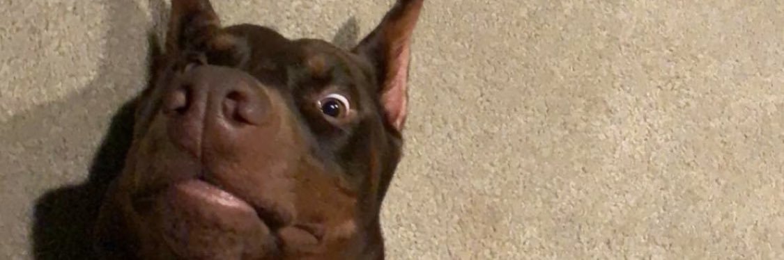 phillip_vinc's profile banner image
