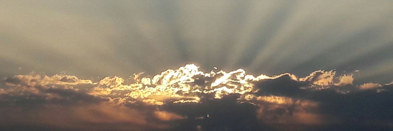 pasanghlmo's profile banner image
