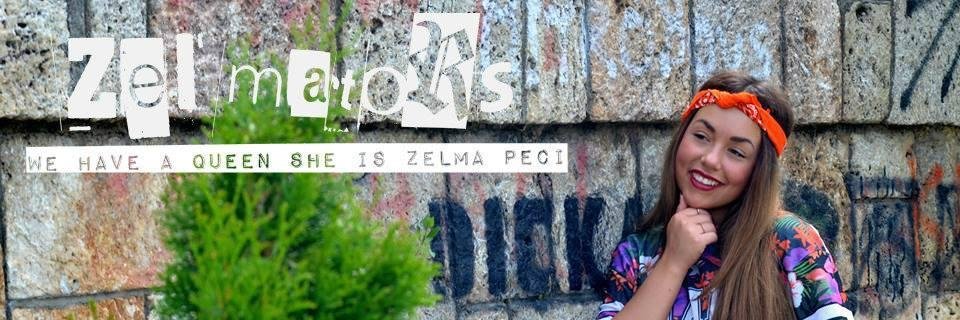 Zelmators banner