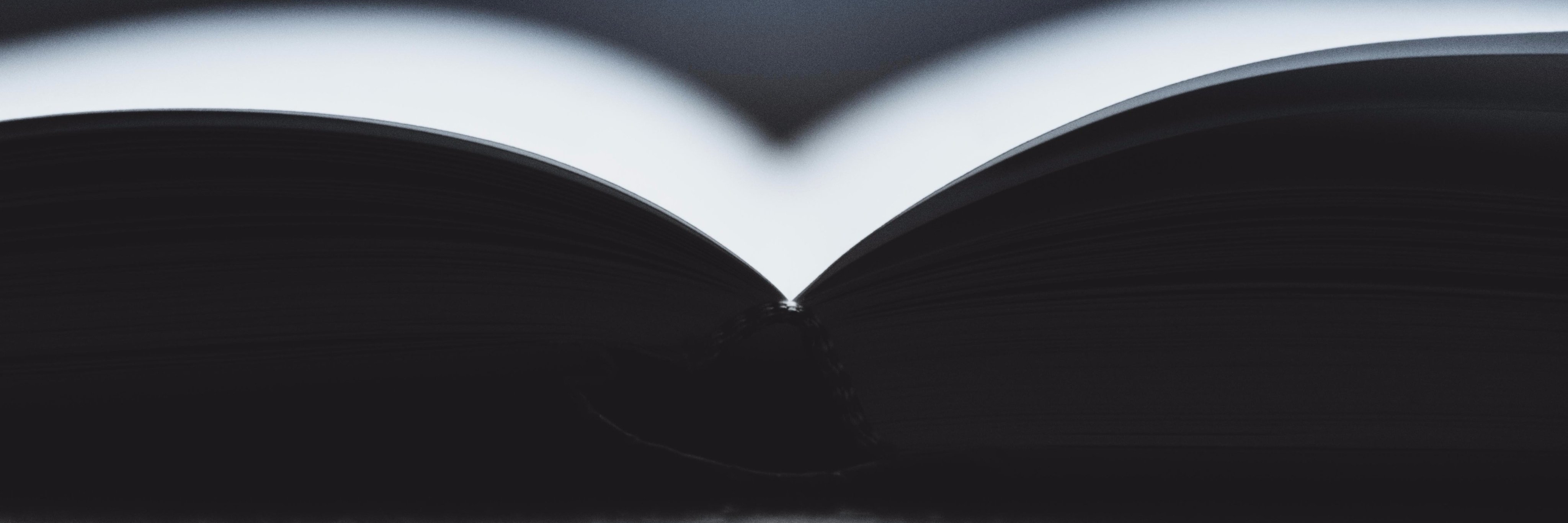 mersiedotes's profile banner image
