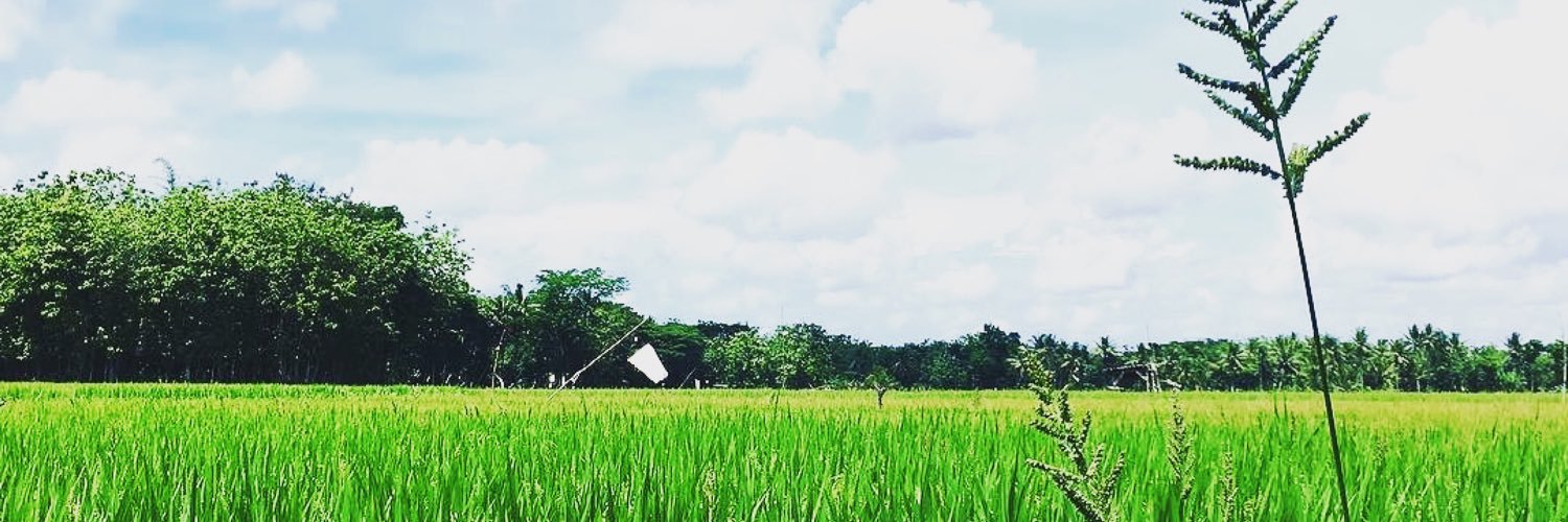 DesaPonjong's profile banner image