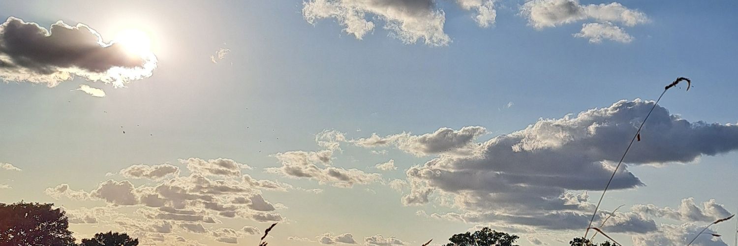 areeverythingg's profile banner image