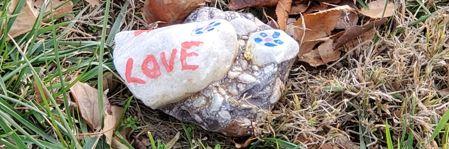 Papazilla667! banner