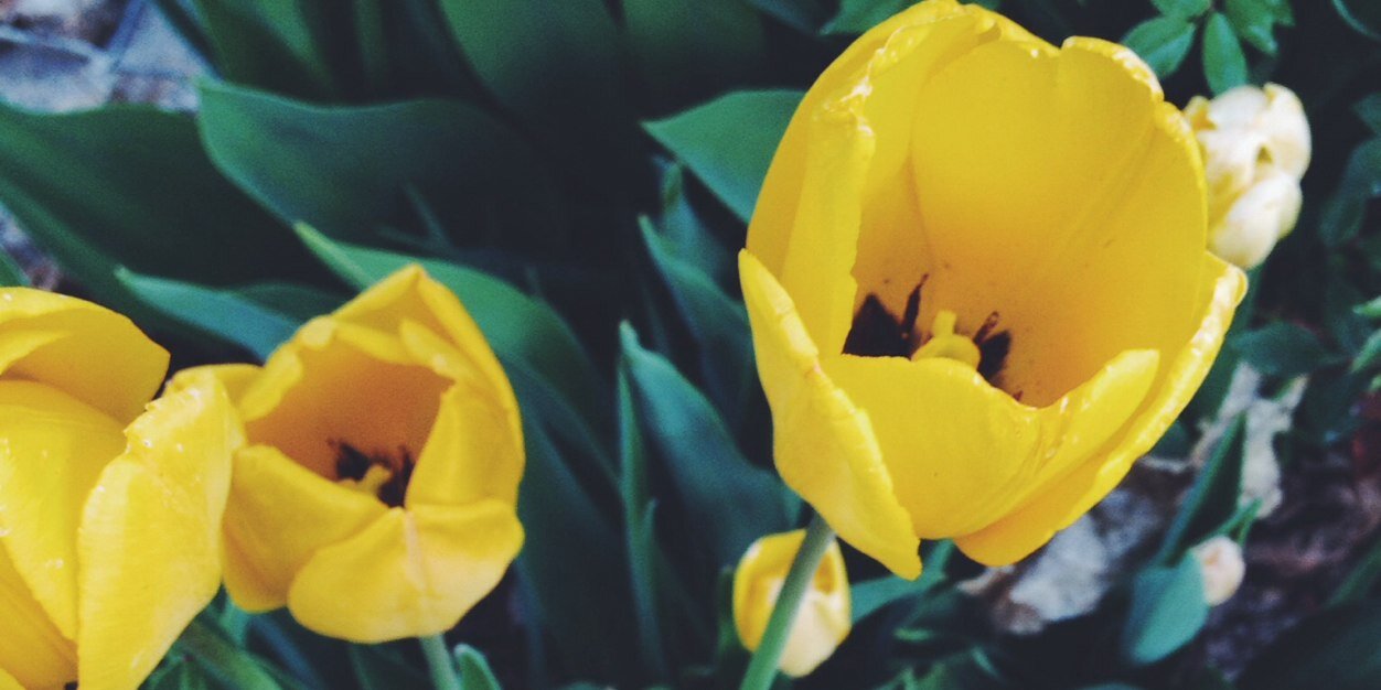 KaylaWithTheSun's profile banner image