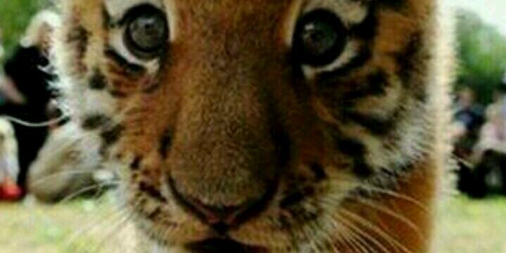 xmariijn's profile banner image