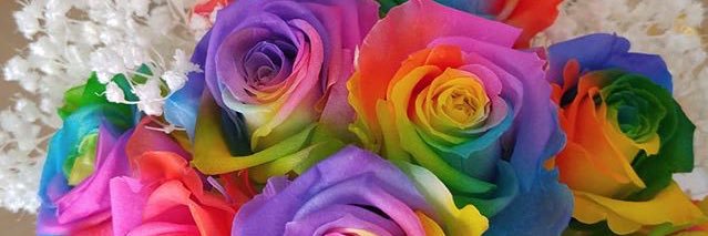 あきころりん🐶🎤 banner