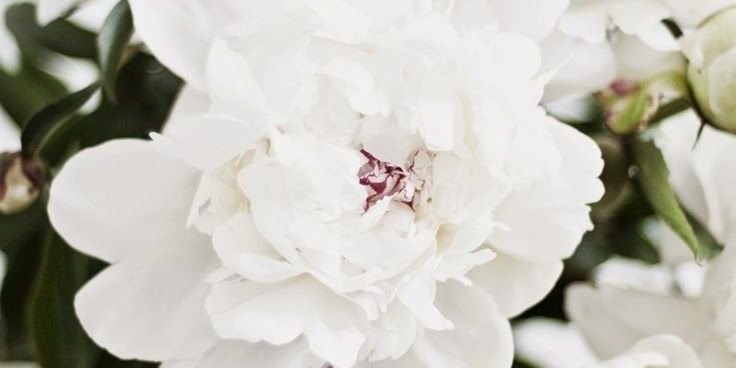valeriane_d's profile banner image
