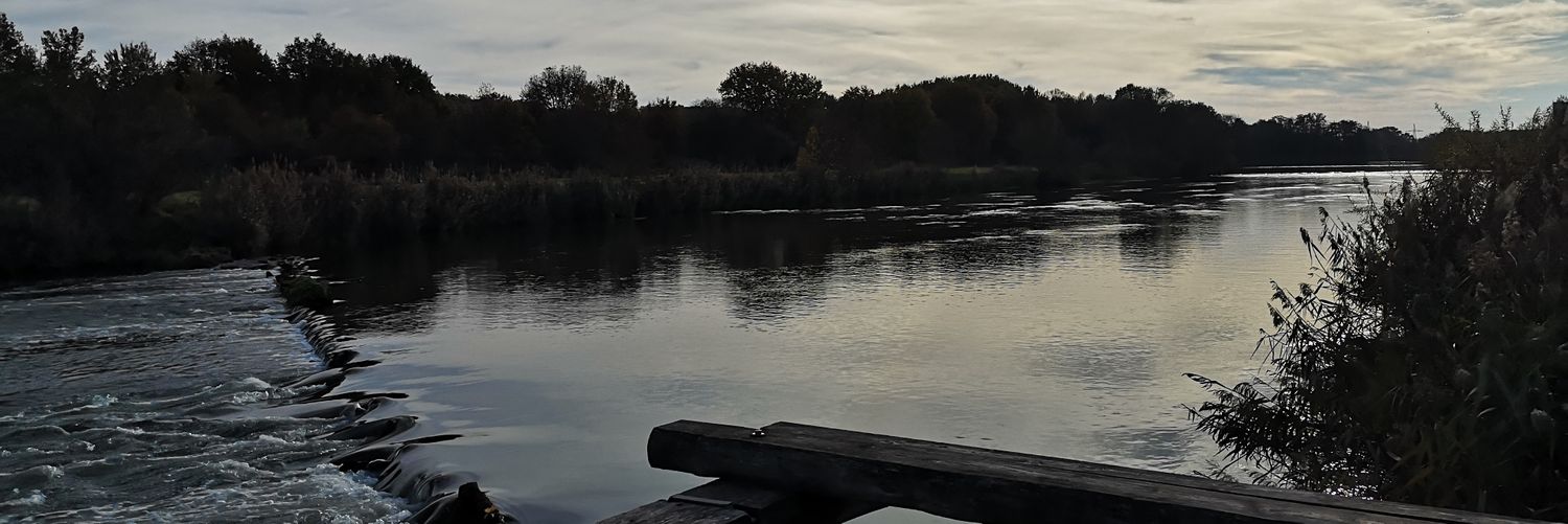 FischerSeverin's profile banner image