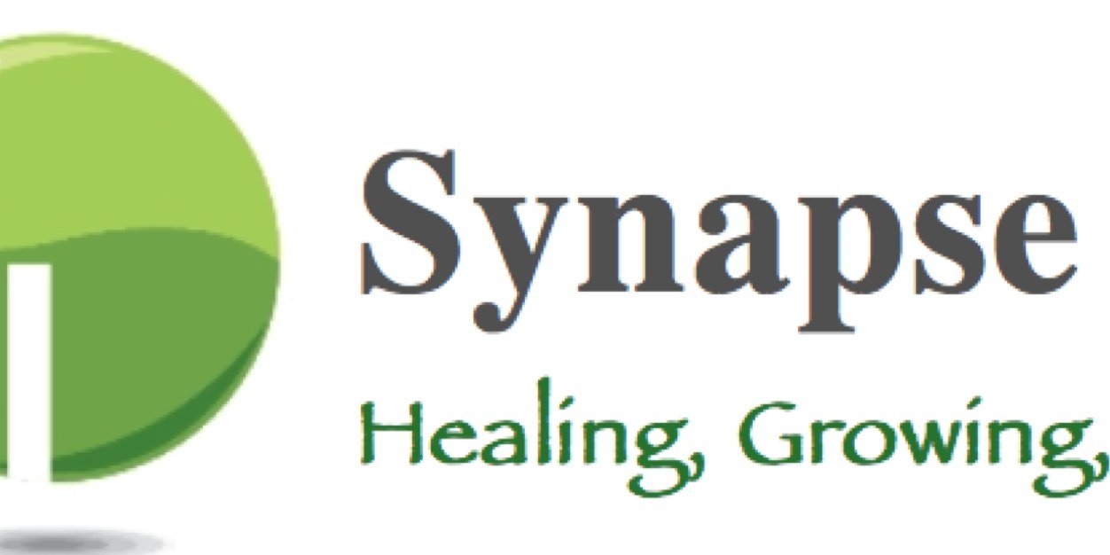 synapseLLC's profile banner image