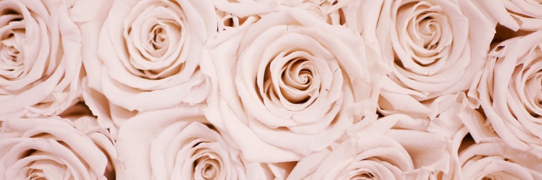 Kaylaa_pdx's profile banner image