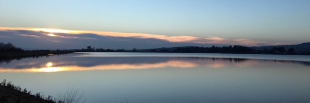 Deborah Motion banner