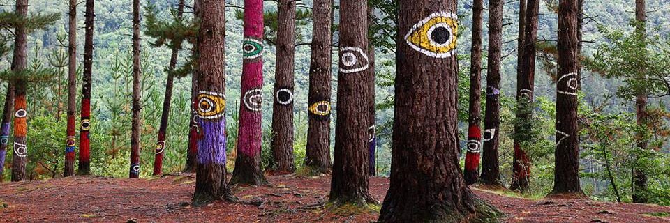eescorih3's profile banner image