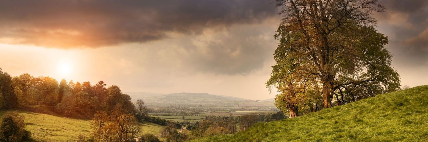 MJT3141's profile banner image
